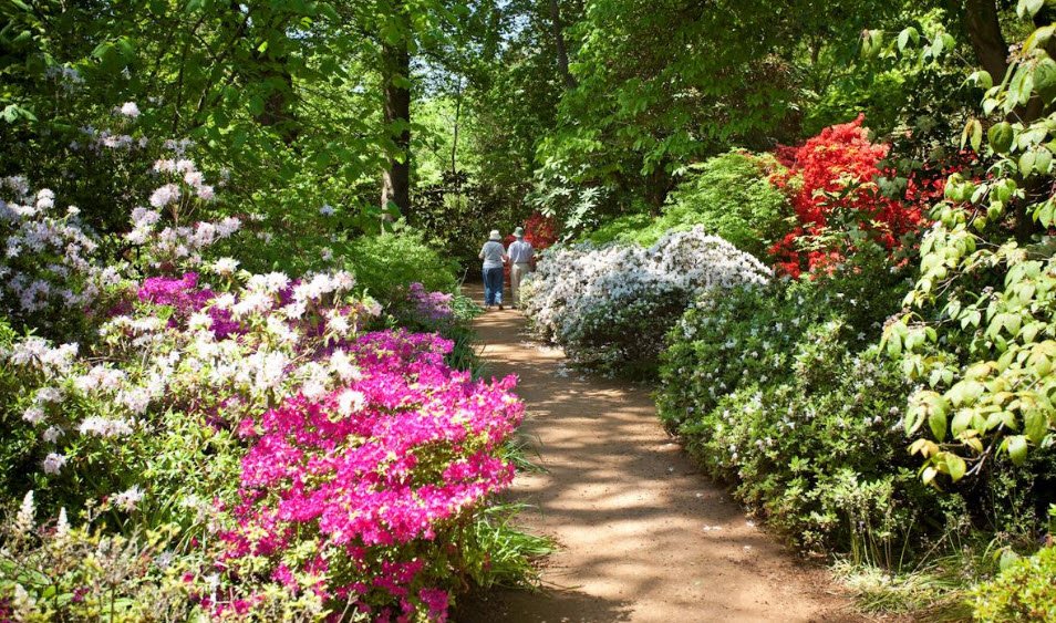 The Savill Garden, United Kingdom